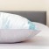 Duet set: sheet 230x250 cm, blanket 150x220 cm, pillowcases 50x70 cm - 2 pcs