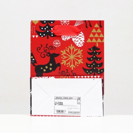 Laminated "New Year's Entry" package 11.5 x 14.5 x 6 cm-3