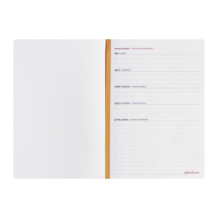 Diary of Leduced A5, 144 sheets of Toulouse "Sun and Moon", hard binding, artificial leather, pancake embossing, white offset 80 g/m²-3