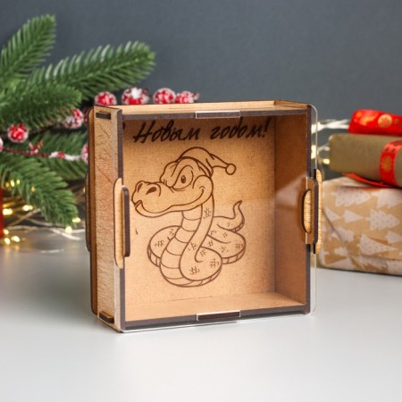 New Year's piggy bank with acrylic "Snake in the cap" 12x12x4 cm