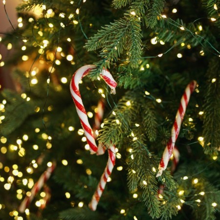 Garland “thread” 50 m dew, IP44, green thread, 500 LED, warm white glow, 8 modes, 31 V-1