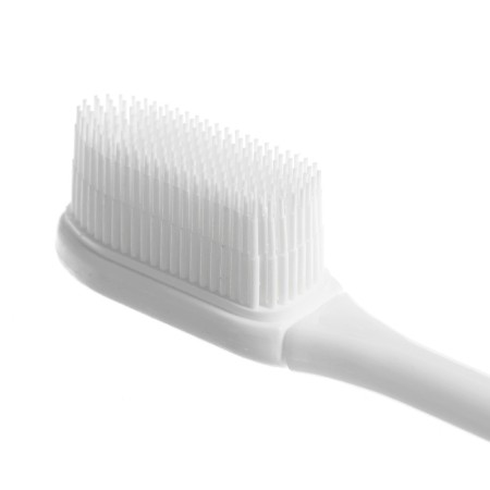 Game set "Human Jaw Model", 12 × 9 cm, with a brush, a mix of a mix-12
