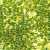 D146 green