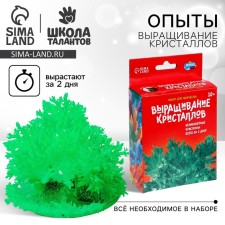 Набор для творчества «Лучистые кристаллы», цвет зелёный