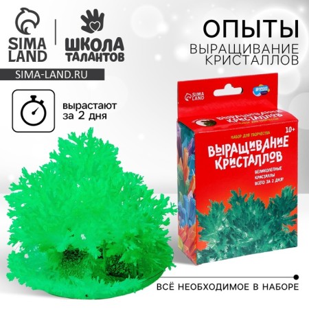 Set for creativity "radiant crystals", green color