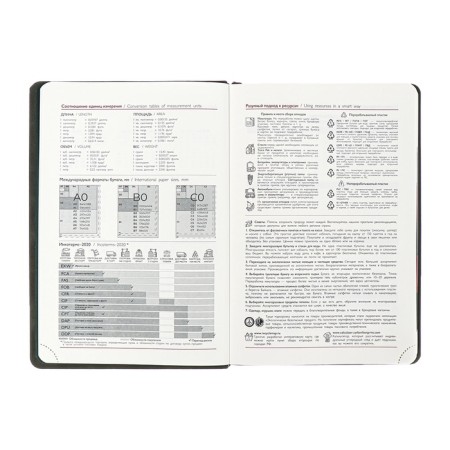 Dated 2025 diary, Escalada, A4, 120 sheets, soft cover, artificial skin, foil embossing, liesse, block 70 g/m2, green block-7