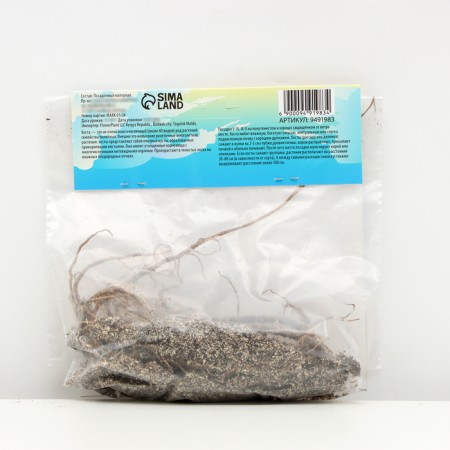 Khosta "Elegans", rr I, size L, 1 pc, spring 2024-1