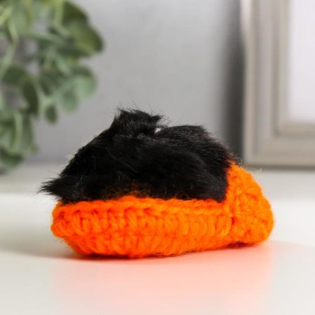 Fluffy cat in a slipper, mix-5