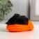 Fluffy cat in a slipper, mix