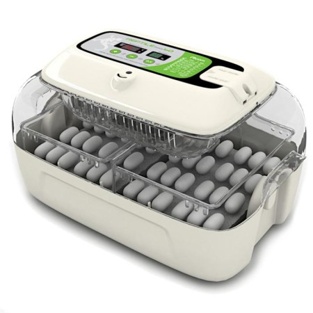 Incubator for reptiles, for 60 eggs, automatic coup, 120 V, rcom
