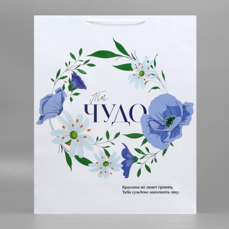 Gift package laminated, packaging, “You are a miracle”, 40 x 49 x 15 cm-4