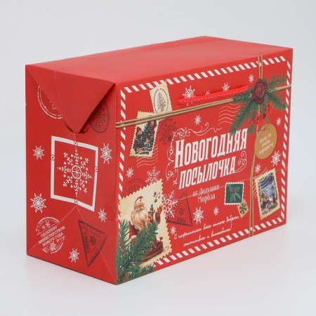 Package - Parse, 28 x 20 x 13 cm, New Year-3