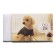 Rectangular white eraser in paper holder, dog, mix