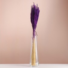 Set of dried flowers 