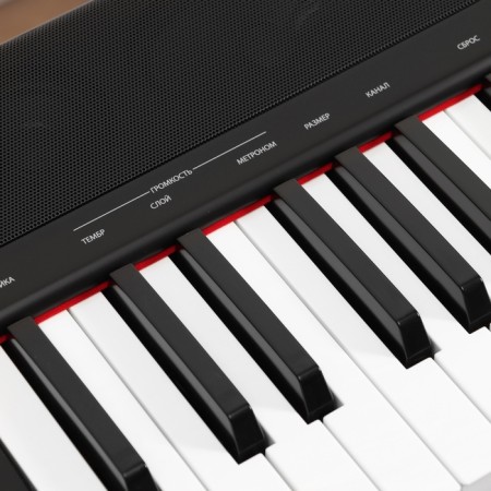 Electronic piano Denn Pro PW01, 8 timbres, polyphony 48 notes, 88 keys-3