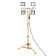 Feater LED Feron, LL-506, IP65, 50 W, 482x430x1720 mm, glow cold white