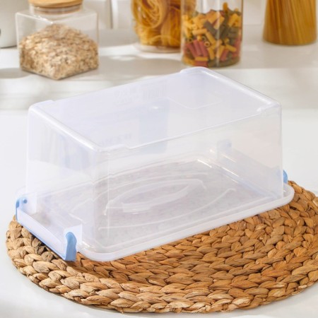 Food container Ricco, 4.5 l, 32 × 20 × 12 cm, rectangular, transparent color, blue-3