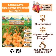 Гладиолус крупноцветковый "Эста Бонита", р-р 8/10, 7 шт,