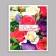 Laminated package "since March 8", Ml 21 x 25 x 8 cm