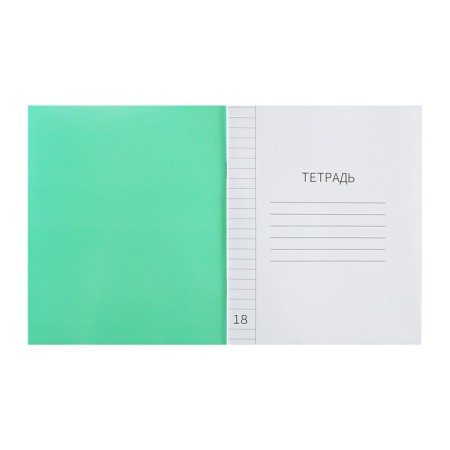 A notebook of 18 sheets in the calligrata "green" line, plastic cover, with alphabet, an offset unit-2