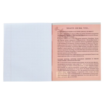 Subject Calligrata "Pixels", 36 sheets in the trap history, with reference material, cover coated cardboard, offset block-4