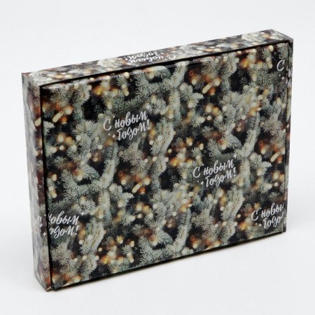 Box a team cover is, with a window, "Fairytale MiG", 26 x 21 x 4 cm-2