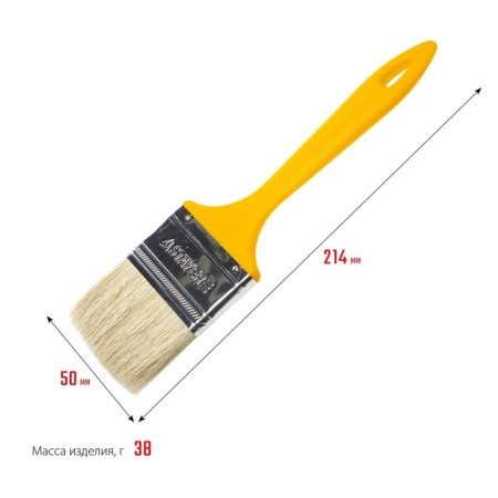 Brush flat Stayer Universal, natural bristles, plastic pen, 50 mm, 2 "-2