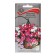 Flower seeds Cataranth ampel "Mediterranian Mix" 10 pcs