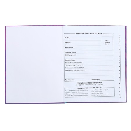 Universal Diary Grade 1-11, 48 sheets "Techno Tiger", integral cover, matte lamination, selective UV-lace-4