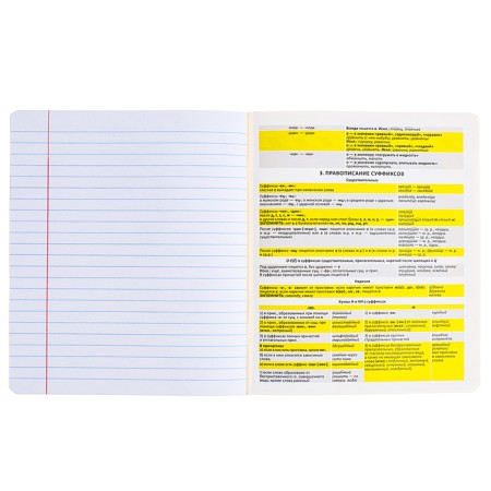 Subject notebook, 48 sheets, ruler, Russian language, Erichkrause "BENFORMED", plastic cover silk-screen cover, Bloc Offset Beliece 100%, information block-5
