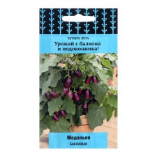 Eggplant seeds 