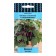 Eggplant seeds "Medalon" Search early, compact, for growing on the balcony