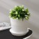 Pot with the Podon "Classic", 4.4 l, white color