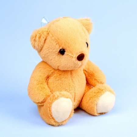 Napchik children with a soft toy "Bear"-4