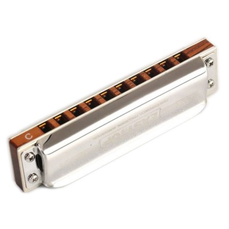 Harmonic harmonica Easttop, Pro40 G, diatonic-1