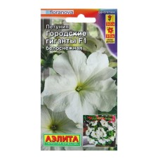Petunia seeds city giants F1 Snow White Odn (dragee in a tube) c/n 7pcs
