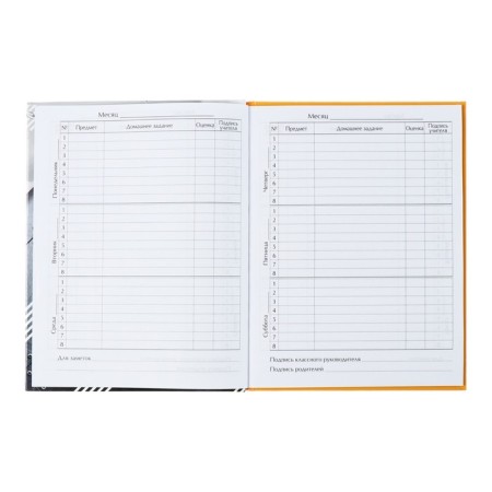 Universal diary for grades 1-11, "fighter", solid cover 7BC, glossy lamination, 40 sheets-7