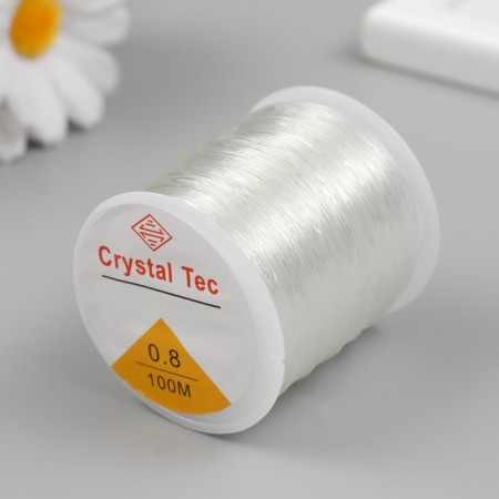 Busin fishing line 0.8 mm 100 m, transparent-1