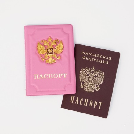 Cover for passport, pink color-4
