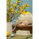 Liberty Jones Birds of Paradise, Cream color