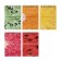 Notepad A7, 40 sheets on the crest Exotic Fruits, cover laminated cardboard, block 55g/m2, mix