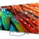 TV Haier Smart TV S4, 55 ", 3840x2160, DVB-T2/C/S2, HDMI 4, USB 2, Smart TV, black