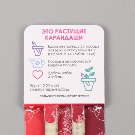 Growing gift pencils Mini "Lion Zev + Clove" set 2 pcs.-2