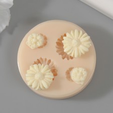 Silicone Mold 