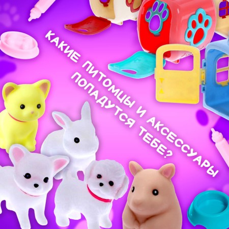 The set "My favorite pet", mix-1