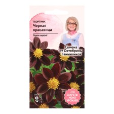 Black Black Beauty Flower seeds, 5 pcs