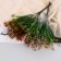 Bouquet "Primary of Florinda" 27 cm, mix
