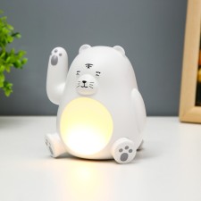 The nightlight 