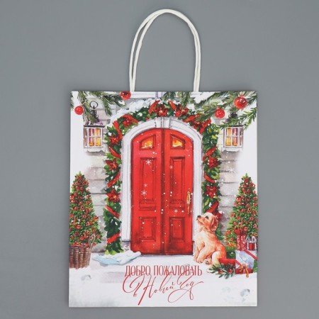 Package Gift Crafts "Welcome", 22 x 25 x 12 cm, New Year-7