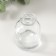 Diffuser for essential oils "bottle" 50 ml transparent 4.8x4.8x7 cm